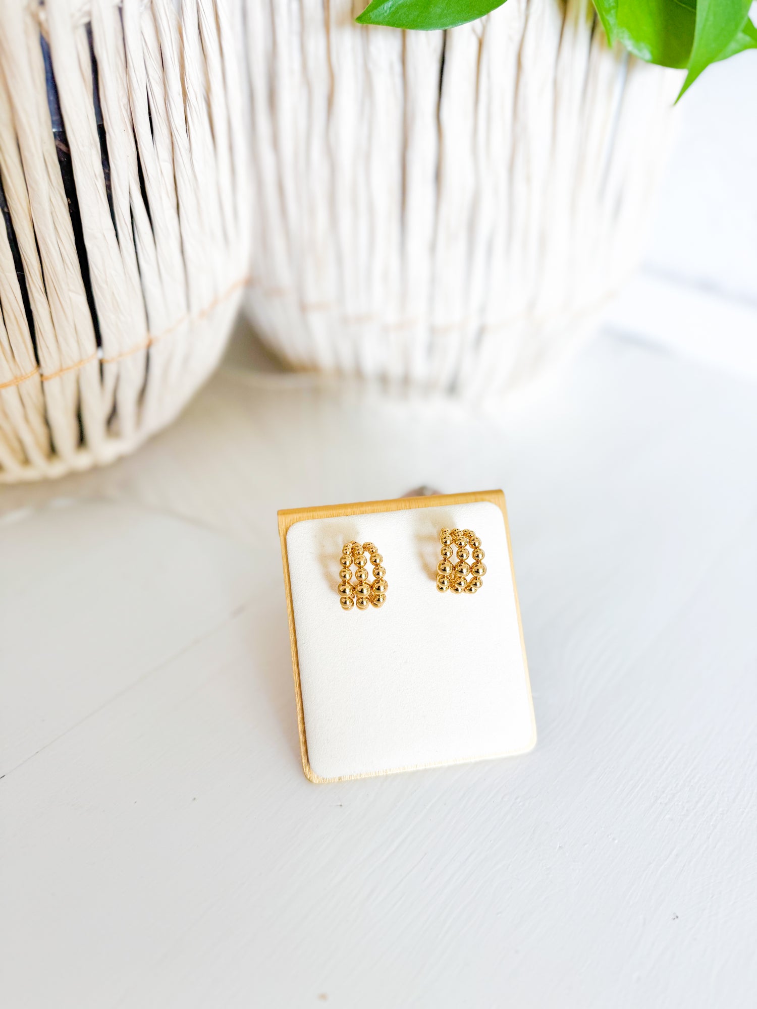 Earrings